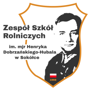 projekt logo z flagą małą